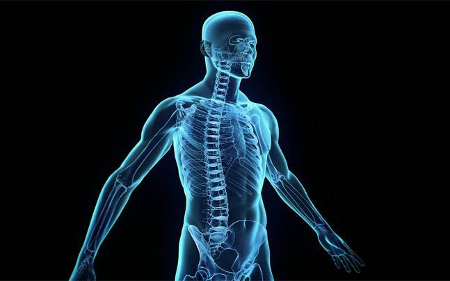 खाने को मुँह से पेट तक पहुंचने में लगते है केवल 7 सेकंड, जानें मानव शरीर से जुड़े ऐसे ही कुछ और रोचक तथ्य facts about human body,human body