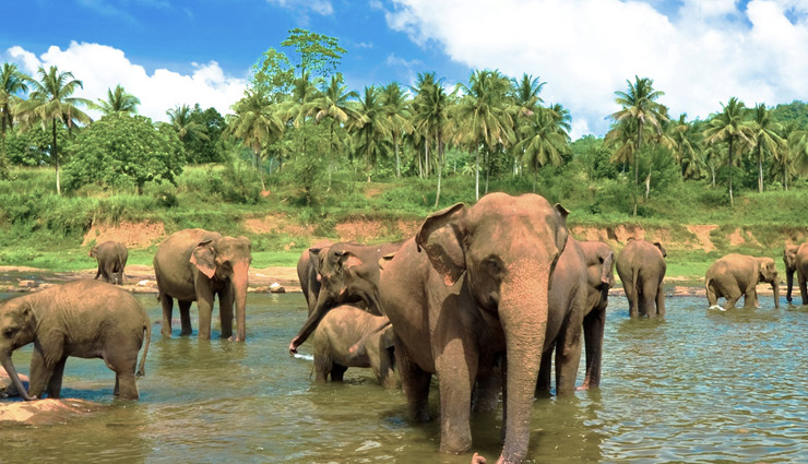 hidden facts about sri lanka,facts about sri lanka,sri lanka tour guide,sri lanka,travel tips,holidays