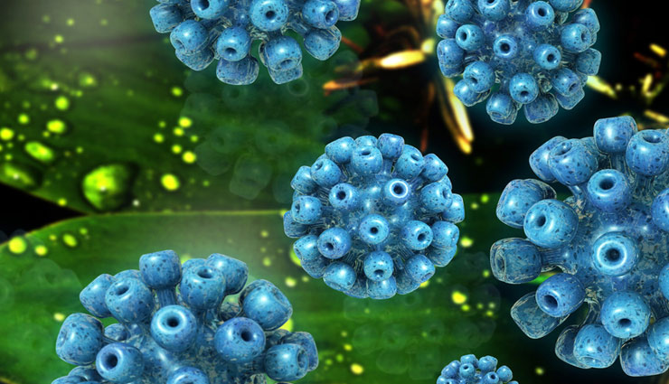 facts about of hepatitis b,Health tips,health care tips,Health