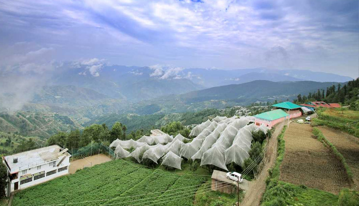 शिमला से 18 और कुफरी से महज 6 किलोमीटर दूर है यह खूबसूरत गांव, बर्फ से ढकी रहती हैं वादियां himachal pradesh,himachal pradesh tourist destination,fagu,fagu tourist place,holidays in fagu,travel guide,travel tips