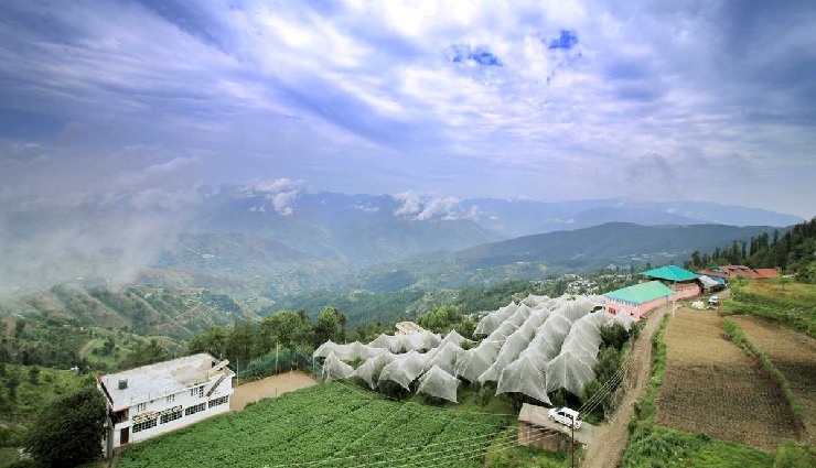 chail himachal pradesh,places to visit near chail,hidden gems near chail,scenic valleys near chail,adventure destinations near chail,historical towns around chail,monasteries near chail,must-visit places himachal pradesh,chail tourist attractions,nature spots near chail