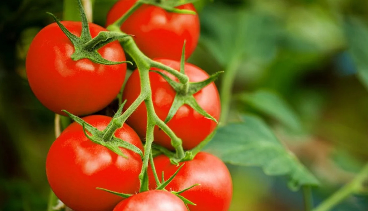 fair skin at home,remedies for fair skin,skin care tips,beauty tips