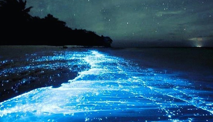 fairy-tale inspired places,fairy-tale inspired places in india,least known places in india,india,bangaram,barren beauty kutch,indian switzerland khajjiar,valley of flowers park himalayas,mawlynnong