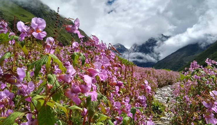 fairy-tale inspired places,fairy-tale inspired places in india,least known places in india,india,bangaram,barren beauty kutch,indian switzerland khajjiar,valley of flowers park himalayas,mawlynnong
