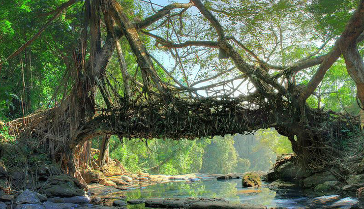 fairy-tale inspired places,fairy-tale inspired places in india,least known places in india,india,bangaram,barren beauty kutch,indian switzerland khajjiar,valley of flowers park himalayas,mawlynnong