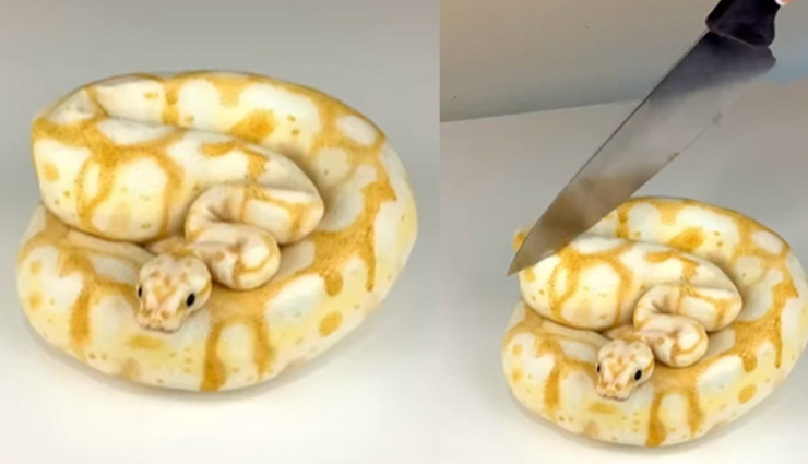 सोशल मीडिया पर सांप को काटने का यह वीडियो लगा रहा आग, सच्चाई कर देगी आपको हैरान