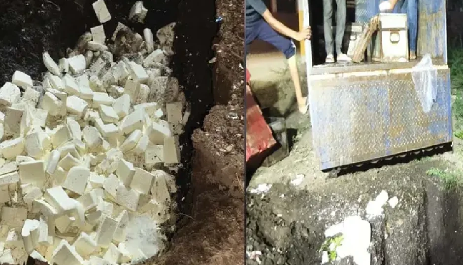 राजस्थान: त्योहारी सीज़न में पकड़ा गया 1000 किलो नकली पनीर, अलवर से जयपुर लाया जा रहा था पिकअप में