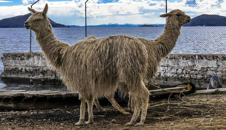 famous things of bolivia,bolivia,travel tips