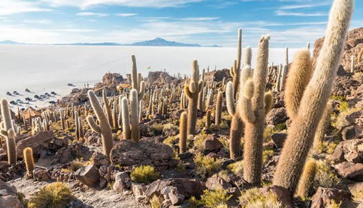 famous things of bolivia,bolivia,travel tips