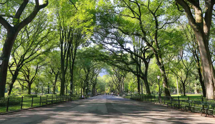 urban parks,urban parks in india,parks in india,jubilee park,jamshedpur,shivaji park,mumbai,maidan,kolkata,company garden,prayagraj,cubbon park,bengaluru