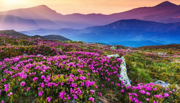 valley of the ten peaks,canada,yosemite valley,united states,kalalau valley,valle de la luna,chile,lauterbrunnen valley,switzerland,valley of flowers,india,barun valley,nepal,jiuzhaigou valley,china,danum valley,borneo,valley of geysers,russia,famous valleys in the world,valleys