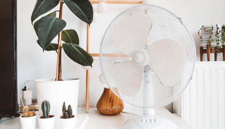 home remedies for mosquitoes,get rid of mosquitoes naturally,diy mosquito control,natural mosquito repellents for the home,mosquito infestation remedies,mosquito-free house tips,homemade mosquito solutions,effective mosquito remedies for the home,natural ways to eliminate mosquitoes at home,diy mosquito repellent techniques,mosquito control for a comfortable home,natural mosquito treatments for the house