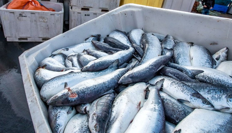 foods that are major cause of cancer,causes of cancer,foods lead to cancer,harmful effects of packed products,healthy living,Health tips