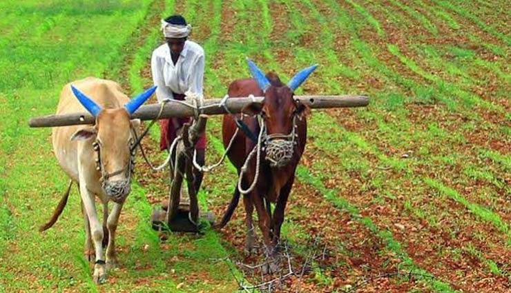 budget,budget 2020,budget for new india,budget 2020,budget 2020,union budget,union budget 2020,nirmala sitharaman news,news