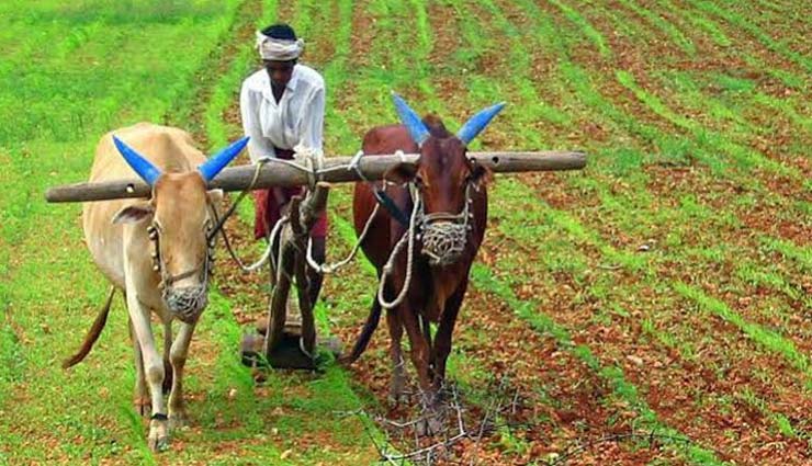 India Budget 2021-22: किसानों को मिलेगा 16.5 लाख करोड़ का कृषि लोन