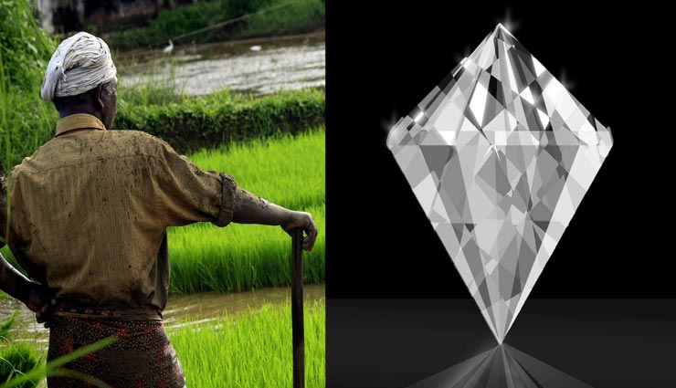 रातोंरात खुली किसान की किस्मत, खेत में मिली इस चीज ने बना दिया लखपति 