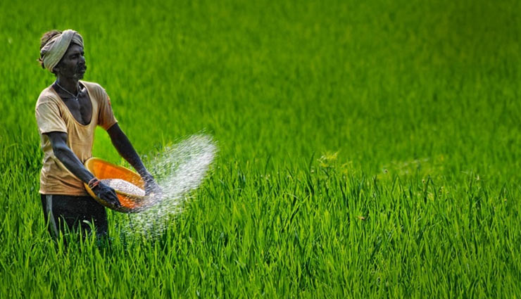 Government mulls zero interest on timely crop loan repayment as New Year gift