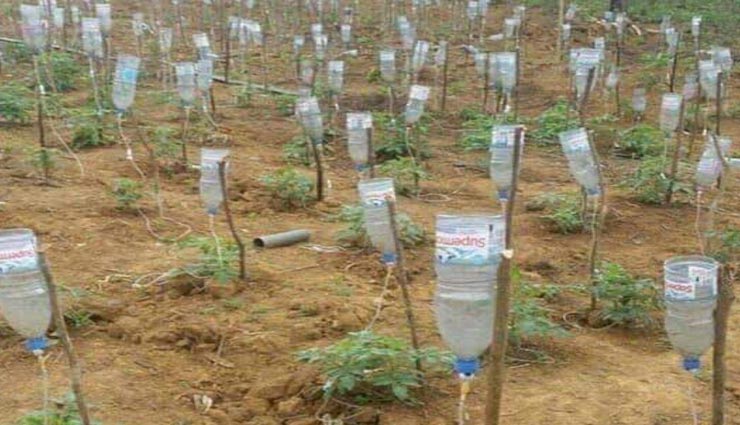 इस किसान ने आजमाया अनोखा तरीका, ग्लूकोज की खाली बोतलों से खेती करके हो रही लाखों की कमाई