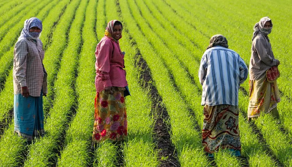 PMKMY: Farmers to Get ₹36,000 Every Year from the Government — Apply Soon