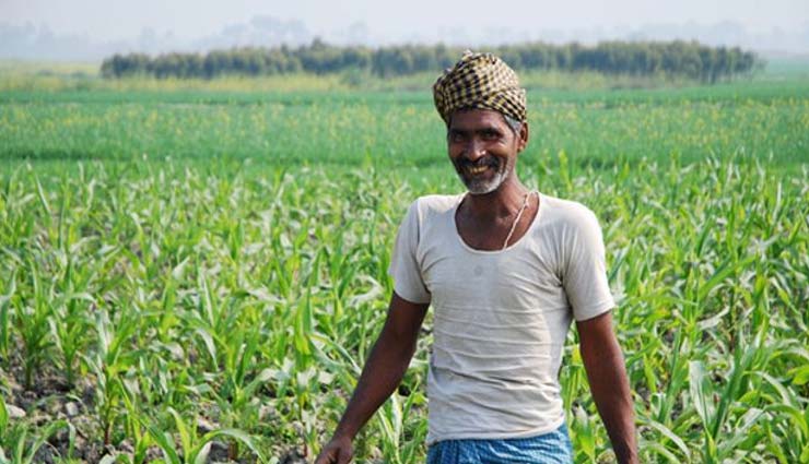 राजस्थान : 30 हजार किसानों को मिलेंगे 4 व 5 जून को ऋण माफी प्रमाण-पत्र