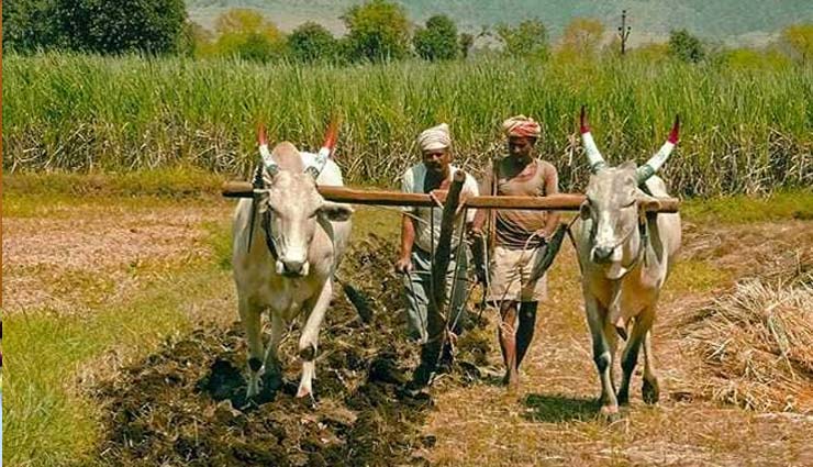 Budget 2019 : बजट में बड़ा ऐलान, किसानों को दी जाएगी 6,000 रुपये वार्षिक सहायता
