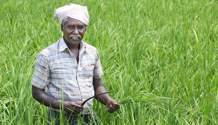 Budget 2019 : किसानों को दी जाएगी 6,000 रुपये वार्षिक सहायता, 12 करोड़ को होगा फायदा, 3 किस्तों में जमा होगी राशी