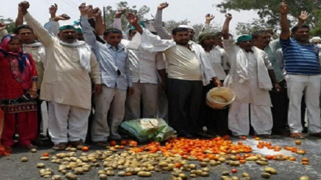 farmer protest,rahul gandhi,vegetables,farmer organisation,vidhansabha election,farmer agitation,kisan avkash,milk,congress,mandsaur firing,bhartiya janata party