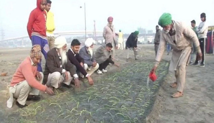  किसानों ने प्रदर्शन स्थल पर शुरू की खेती, कहा -  कृषि कानून रद्द नहीं हुआ तो पूरे मैदान में फसल बोएंगे