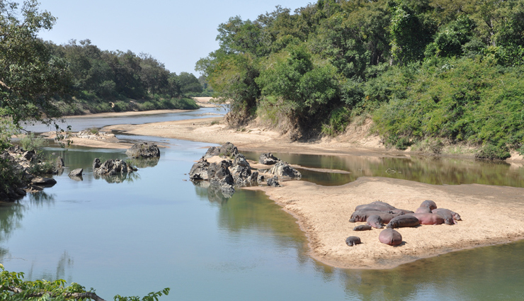 cameroon,national parks visit in cameroon,cameroon tourist places,waza national park,lobeke national park,korup national park,benoue national park,dja faunal reserve,nki national park,faro national park,bouba njida national park,campo maan national park,holidays,travel