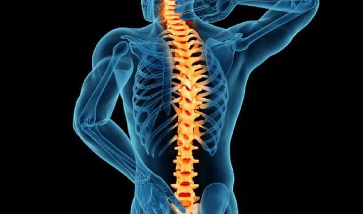 do you know that eating food while sitting on the floor gives amazing benefits let us tell you,Health,healthy living