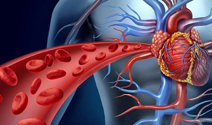 do you know that eating food while sitting on the floor gives amazing benefits let us tell you,Health,healthy living