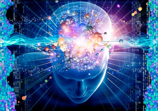 इन 8 चीजों के सेवन से आप भी बड़ा सकतें है आपकी याददाश्त food which make strong memory,memory booster,memory enhancement,best memory supplements,Health tips,Health,healthy living