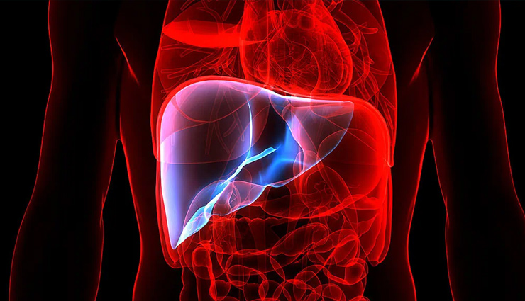 फैटी लीवर की समस्या से जूझ रहे थे सिंगर KK, जानें इस बीमारी के बारे मे सबकुछ fatty liver,fatty liver symptoms,fatty liver causes,fatty liver treatment,healthy living,Health tips,Health