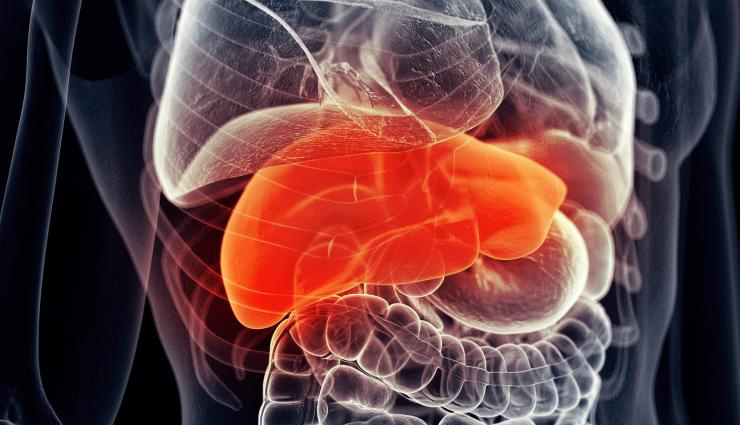 9 Healthy Foods For Fatty Liver Treatment