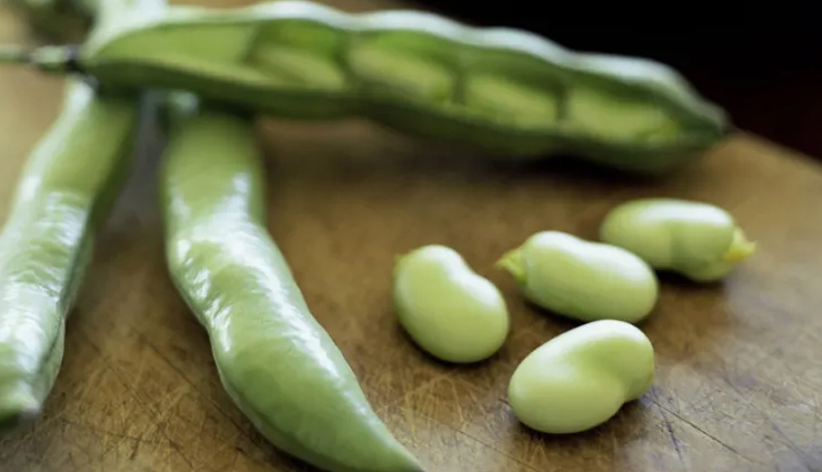 protein rich foods,protein rich foods adding to died,protein,benefits of protein,food rich in protein,healthy living,Health tips