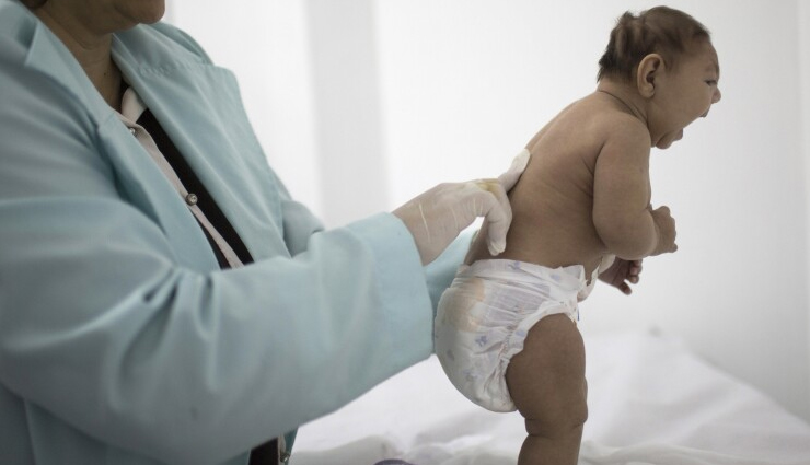 fava beans health benefits,amazing benefits of fava beans,fava beans nutrition advantages,why eat fava beans,fava beans for health,benefits of including fava beans,fava beans nutrients impact,fava beans superfood benefits,fava beans and health benefits,health perks of fava beans