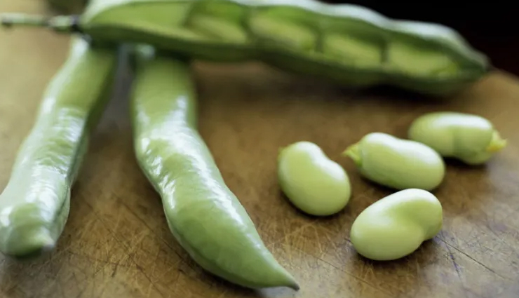 6 Health Benefits of Fava Beans