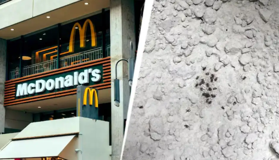 मुंबई में McDonald's समेत 13 फूड आउटलेट पर FDA का शिकंजा, गंदगी और खाद्य सुरक्षा उल्लंघन पर लाइसेंस सस्पेंड
