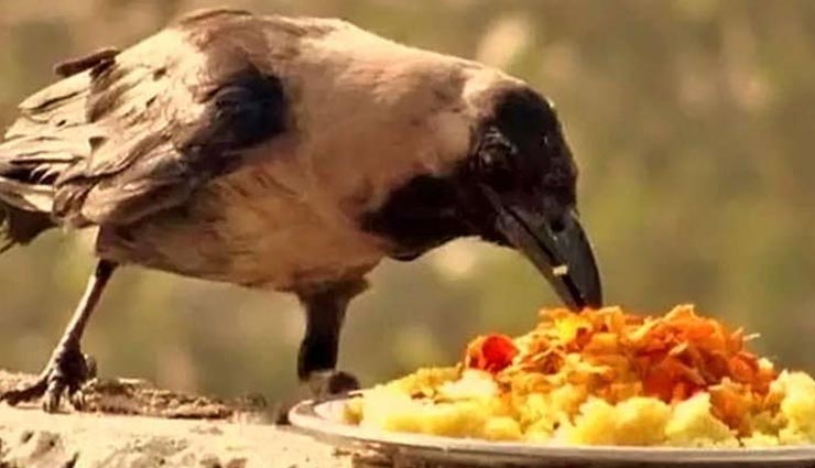 astrology tips,astrology tips in hindi,goddess lakshmi,shraddha paksha 2020,shraddha 2020