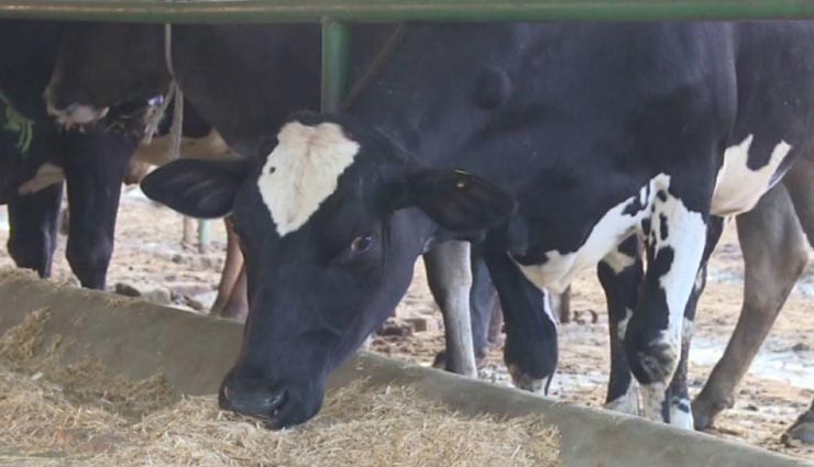 astrology tips,astrology tips in hindi,dhanteras special,dhanteras 2020,maa lakshmi