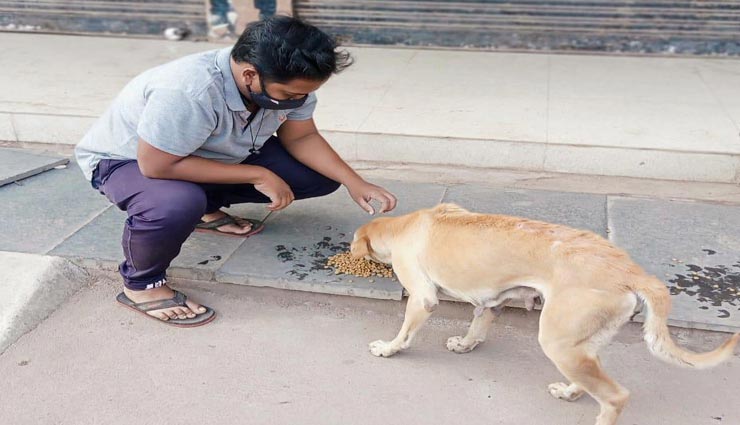 astrology tips,astrology tips in hindi,navgrah,feed to animal