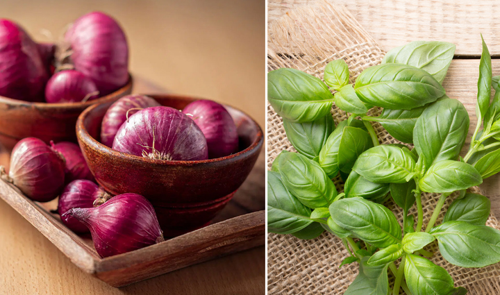 natural remedies for abdominal hair removal,beauty tips,beauty hacks