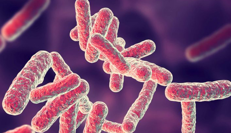 fennel,health benefits of fennel,Health tips,fitness tips