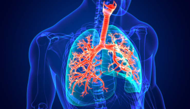 fennel for babies,health benefits of fennel,Health tips,fitness tips