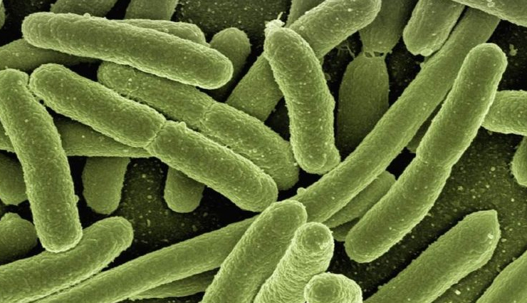 fennel for babies,health benefits of fennel,Health tips,fitness tips