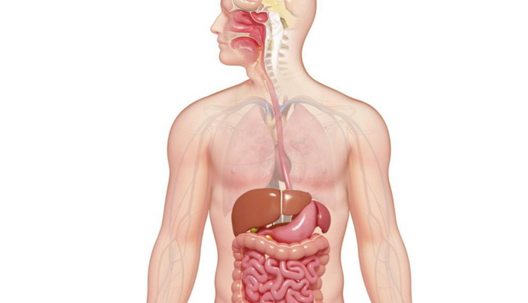 fennel seeds,health benefits of fennel seeds,Health tips,fitness tips