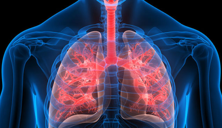 fennel seeds,health benefits of fennel seeds,Health tips,fitness tips