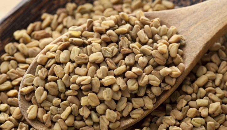 conditioning herbs,herbs for gorgeous hair,beauty tips,tips for conditioning hair,hair care tips