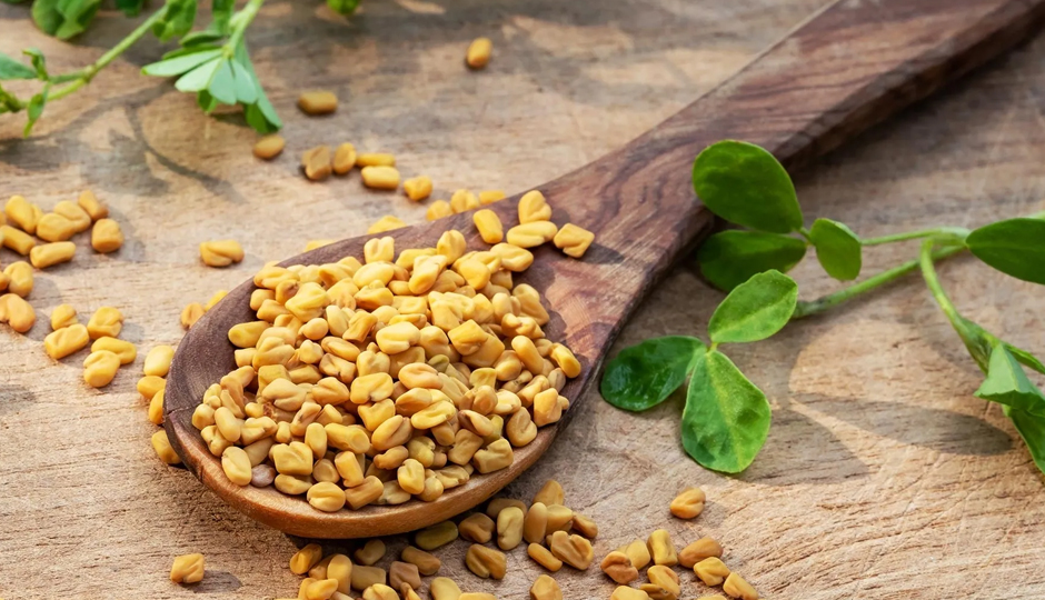 9 Amazing Health Benefits of Fenugreek