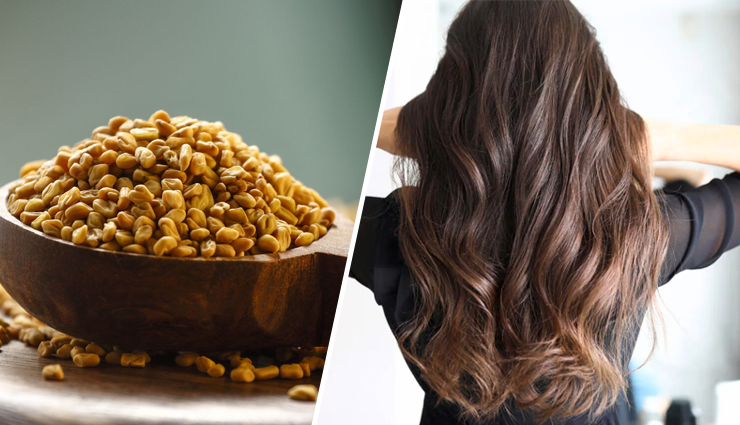 5 DIY Ways To Use Fenugreek Seeds for Hair